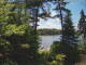 Hoel Pond, New York So. 28.6.