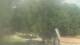 Fairview, Tennessee So. 28.6.