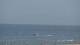 Scheveningen So. 28.6.