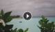 Eh'mafushi (Süd-Malé-Atoll) So. 28.6.