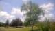 Harriman, New York Mo. 29.6.