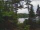 Hoel Pond, New York Di. 30.6.