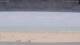 Henne Strand Di. 30.6.
