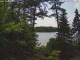 Hoel Pond, New York Mi. 1.7.