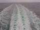 Costa Diadema Do. 2.7.