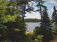 Hoel Pond, New York Fr. 3.7.