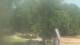 Fairview, Tennessee Fr. 3.7.
