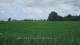 't Zandt Fr. 3.7.