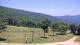 Nellysford, Virginia Fr. 3.7.