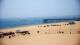 Ocean City, Maryland Sa. 4.7.