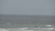 Scheveningen Sa. 4.7.