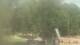 Fairview, Tennessee Mo. 6.7.