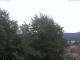 Gmund am Tegernsee Mo. 6.7.