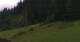 Going am Wilden Kaiser Mo. 6.7.