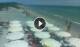 Otranto Mo. 6.7.