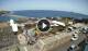 Garachico (Teneriffa) Mo. 6.7.