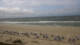 Hörnum (Sylt) Mo. 6.7.