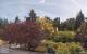 Son en Breugel Di. 7.7.