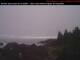 Ucluelet Di. 7.7.