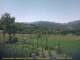 Cantalupo Ligure Di. 7.7.