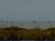 Cape Canaveral, Florida Di. 7.7.
