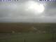 Hallig Hooge Di. 7.7.