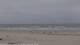 Nes (Ameland) Di. 7.7.
