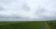 Westerhever Di. 7.7.