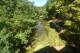 Nesmy Di. 7.7.