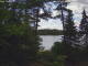 Hoel Pond, New York Mi. 8.7.