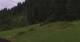 Going am Wilden Kaiser Mi. 8.7.