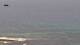 Ericeira Mi. 8.7.