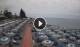 Bordighera Mi. 8.7.