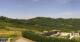 Cerretto Langhe Mi. 8.7.