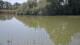 Les Landes-Genusson Mi. 8.7.