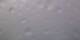Saint-Philippe Mi. 8.7.