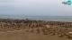 Bibione Mi. 8.7.