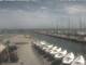 Cervia Mi. 8.7.