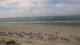 Hörnum (Sylt) Mi. 8.7.