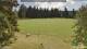 Todtnauberg Mi. 8.7.