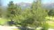 Barcelonnette Do. 9.7.