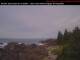 Ucluelet Do. 9.7.