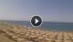 Marina di Bibbona Do. 9.7.
