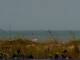 Cape Canaveral, Florida Do. 9.7.