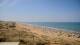 Longeville-sur-Mer Do. 9.7.