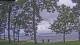 Houghton Lake, Michigan Do. 9.7.