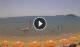 Formia Do. 9.7.