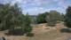 Steinbrunn Do. 9.7.