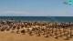 Bibione Do. 9.7.