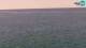 Piran Do. 9.7.